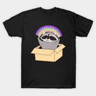 Funny Raccoon in a box with a rainbow T-Shirt